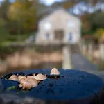 Hammerhole Эмблсайд