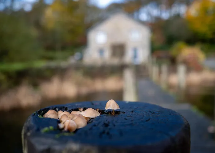 Hammerhole 安布尔塞德